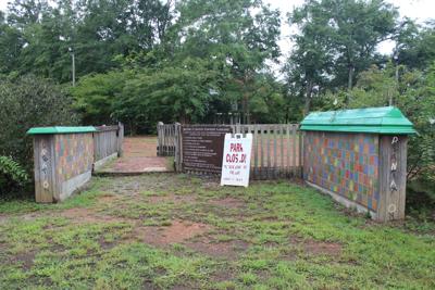 Creation Plantation