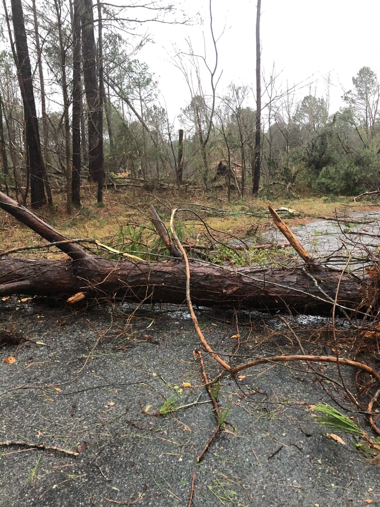 storm damage 2