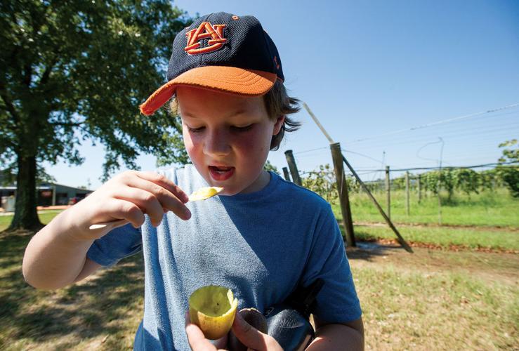 0905 Kiwi 4.jpg