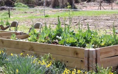 camp hill garden