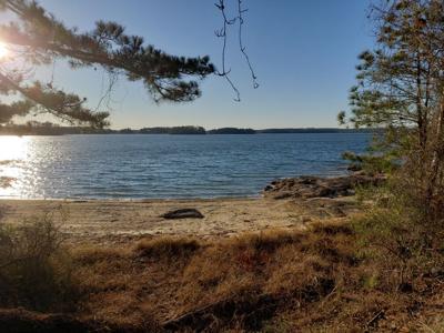 LakeMartin.jpg