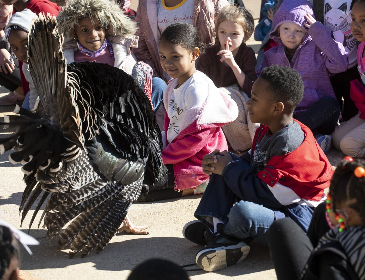 20211119 Zoo at Jim Pearson 010.jpg