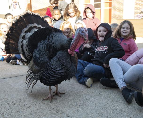 Elvis the Turkey Visits Jim Pearson Elementary