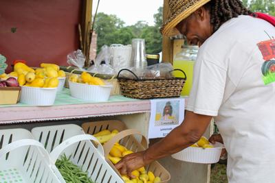 Finley Family Farm