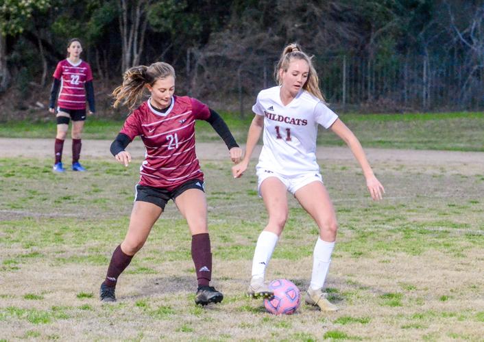 0229-BRHS Stan girls soccer 1.jpg