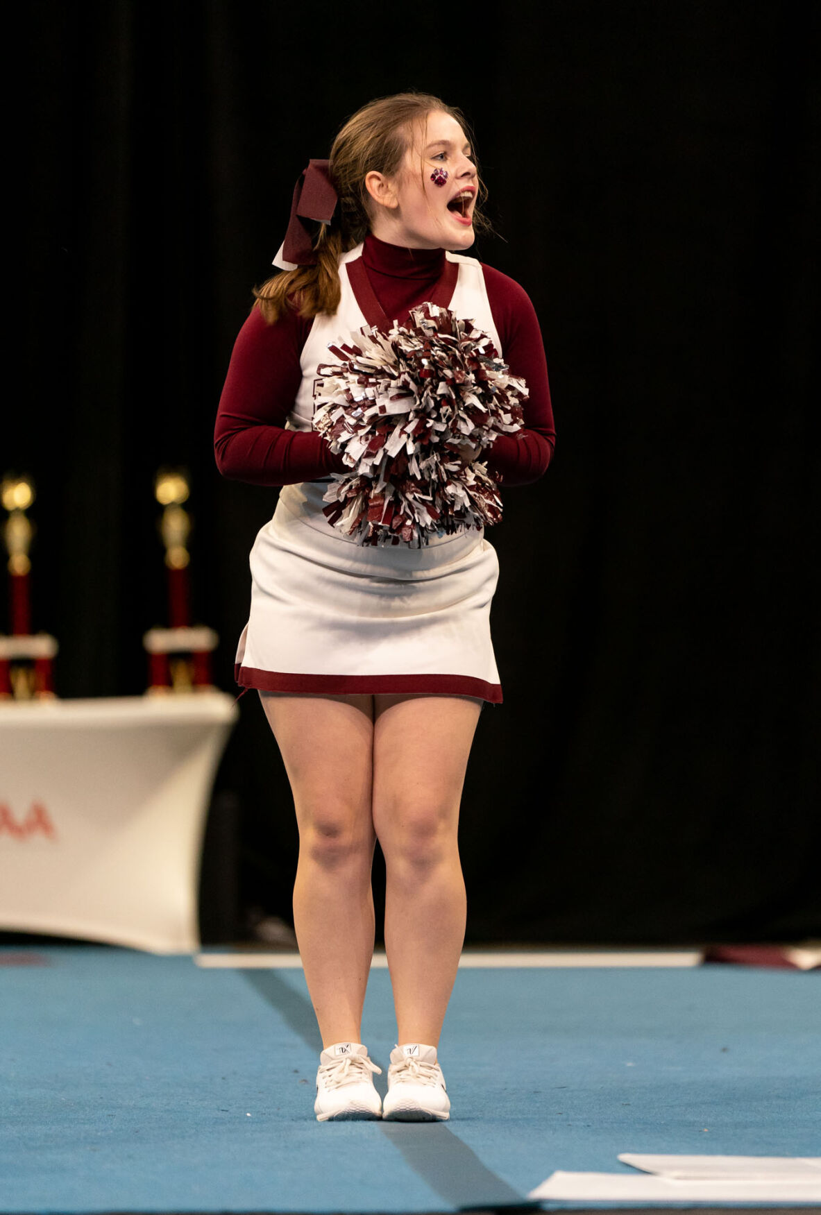 BRHS Competes at State Cheer Competition