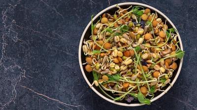 How sprouted grains benefit gut health