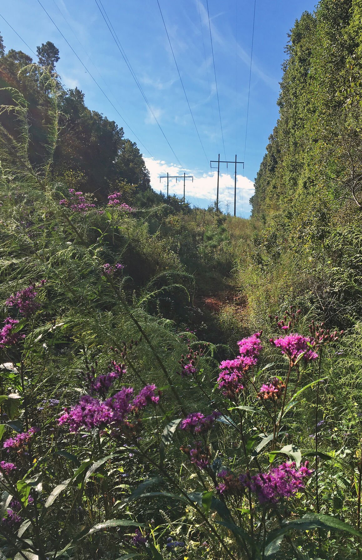 Cherokee Bluffs Railroad Trail Retraces Construction Of Martin Dam ...