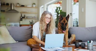 Laptop,,Typing,And,Dog,With,Woman,On,Sofa,For,Pet