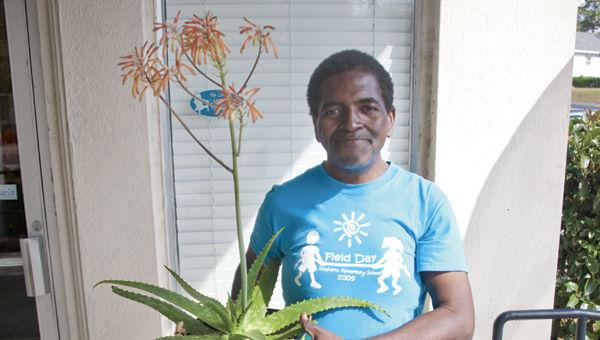 Long Time Gardener Grows Rare Bloom On Aloe Vera Plant News Alexcityoutlook Com