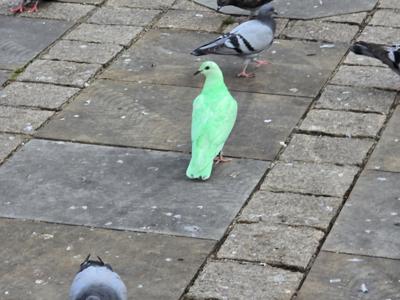 greenpigeon_featured