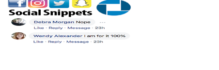 Social Snippets logo