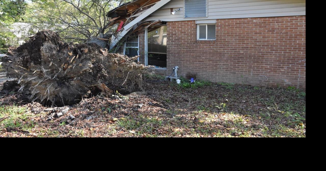 Tree falls onto Hammond home during Wednesday night storms | Latest ...