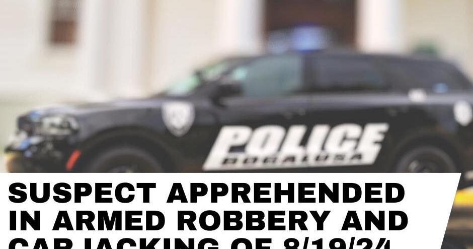 Suspect apprehended in armed robbery, carjacking case | Crime | an17.com