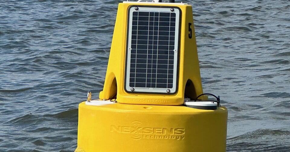 Panel refuses SLU professor's petitions to be reinstated to position on Lake Maurepas project , back pay