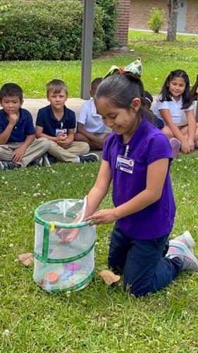 Butterflies in Bloom at Independence Leadership Academy