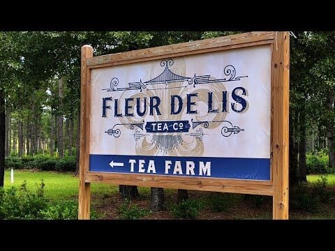 Fleur De Lis Tea Company