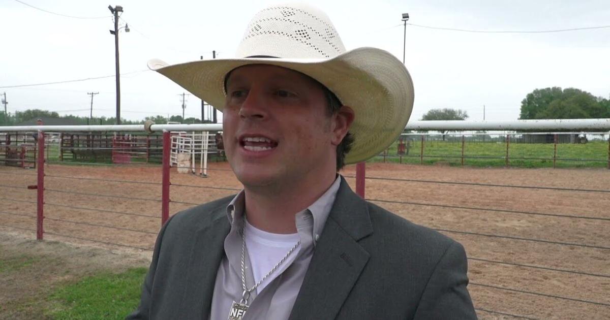 Email Rodeo Rodeo | Video | an17.com
