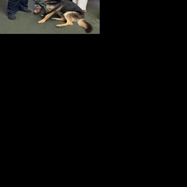 Southeastern Police Department is 