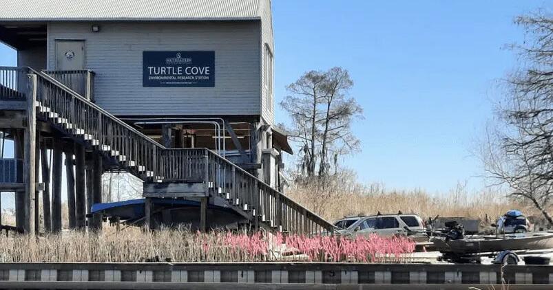 Southeastern presents research and innovation showcase on March 26