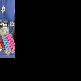 Mandeville man arrested after drugs found with juvenile in car | Crime ...