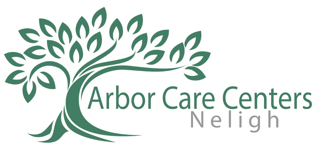 Arbor Care Center Seeking Employees In Neligh Healthcare & Nurse Jobs