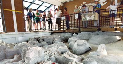 Ashfall Fossil Beds to Open July 1 | News 