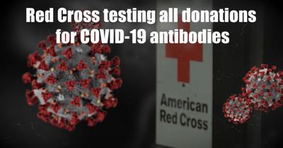 Red Cross Now Testing For Covid 19 Antibodies News Antelopecountynews Com