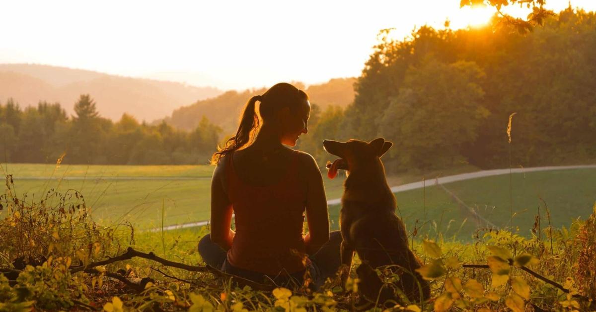 Top Dog Nations: These Countries Are the World’s Biggest Dog Lovers