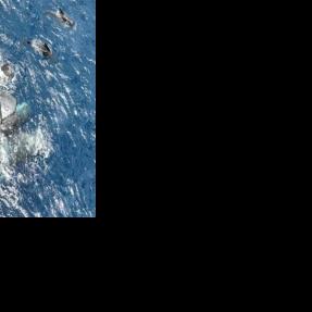 Whale filmed giving birth, with a little help from her friends