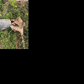 Colombia, Ecuador leaders clash over bomb dropped near border