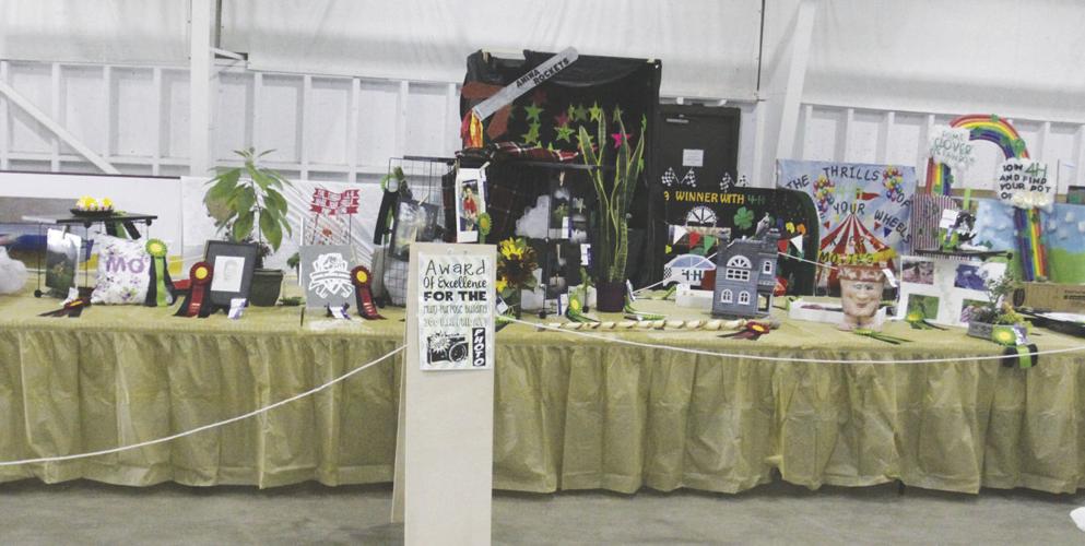 Langlade County Fair Local News
