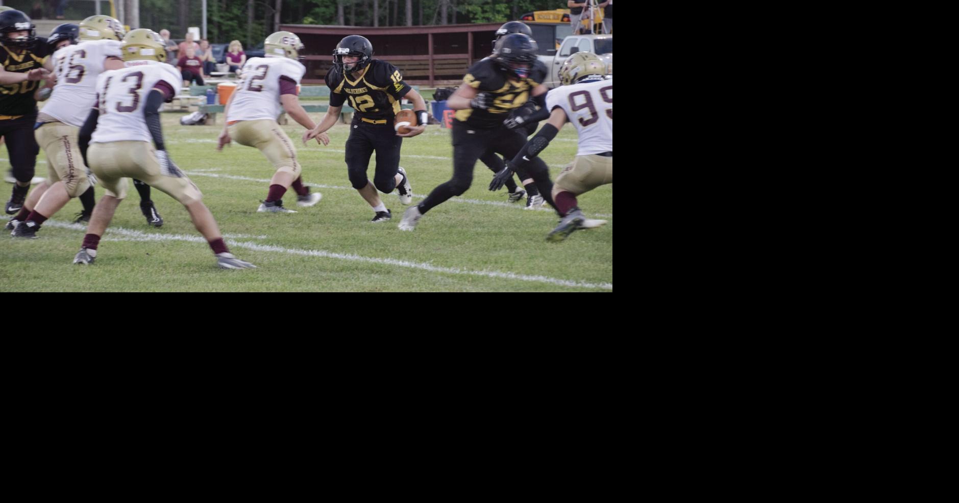 Wolverines win | Sports | antigojournal.com
