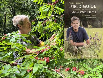 Field Guide ensures safe foraging and edible eating of wild plants ...