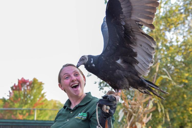 Raptor rehabilitation center hosts Halloween-themed tours | News ...