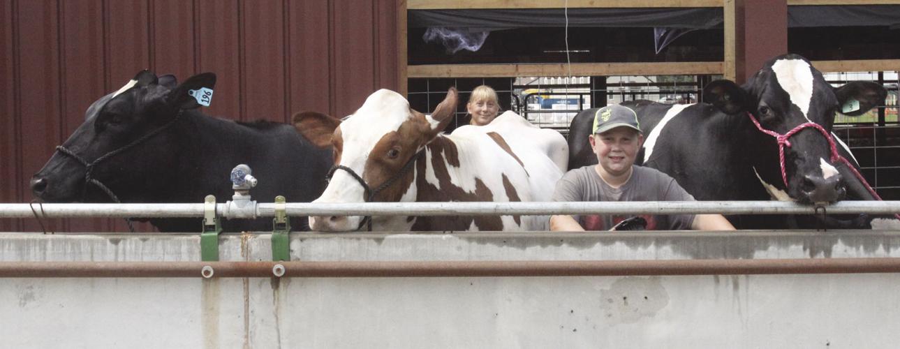 Langlade County Fair Local News