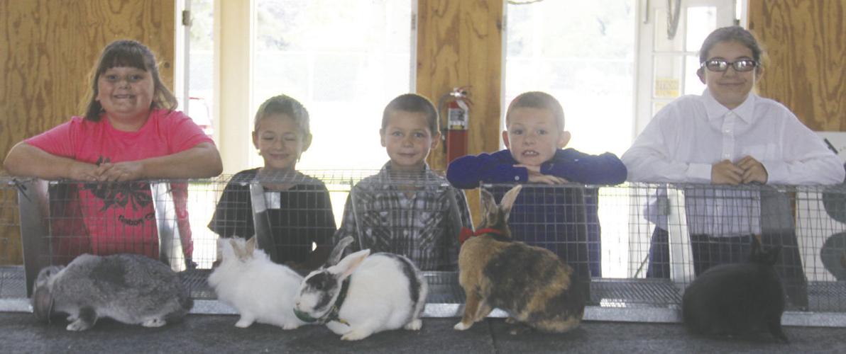 Langlade County Fair Local News