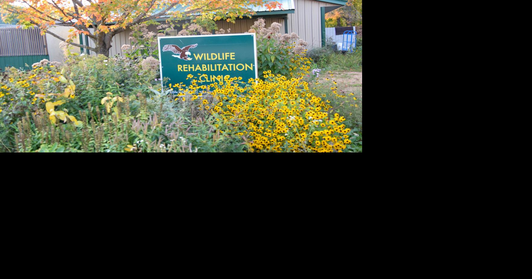 Raptor rehabilitation center hosts Halloween-themed tours | News ...
