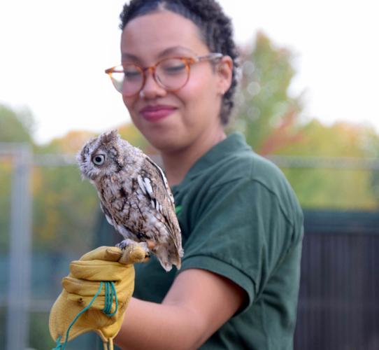 Raptor rehabilitation center hosts Halloween-themed tours | News ...