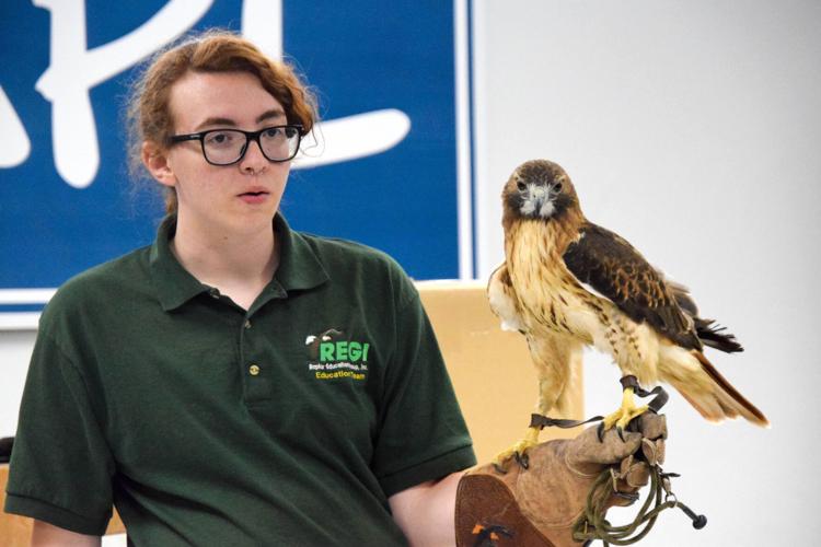 Raptor Education Group shows and tells at library | News ...
