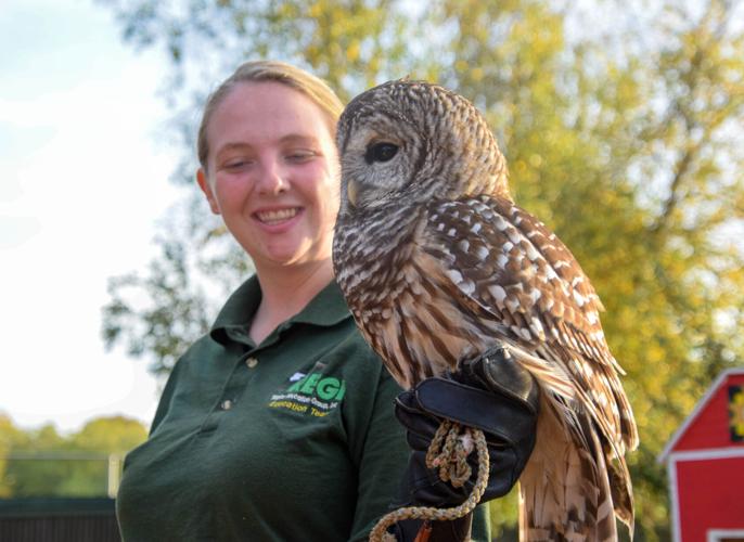 Raptor rehabilitation center hosts Halloween-themed tours | News ...