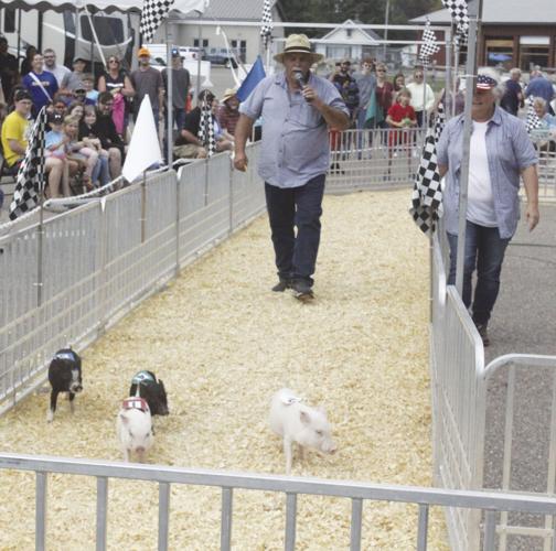 Arnold Schwarzenpigger, Afro Duck, and friends wow the crowds | Local ...