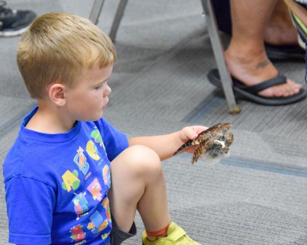 Raptor Education Group shows and tells at library | News ...