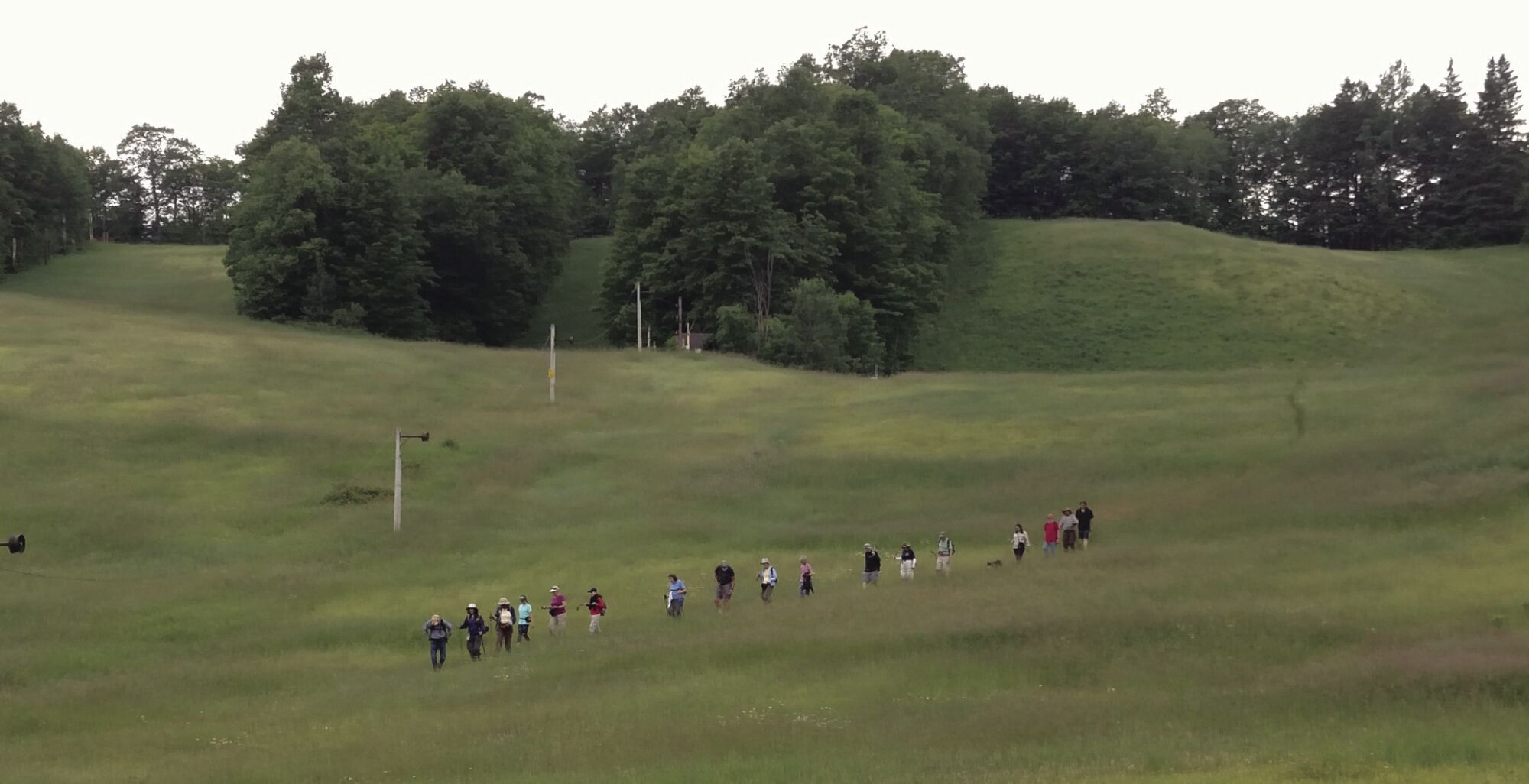 Ice Age Trail Group To Host Saturday Hike | Local News | Antigojournal.com