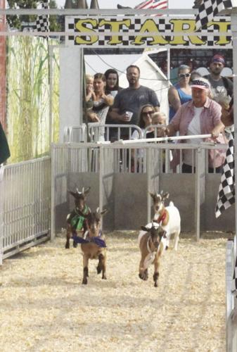 Arnold Schwarzenpigger, Afro Duck, and friends wow the crowds | Local ...