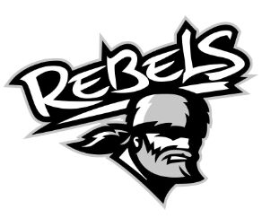 Rebels clan up with Northern Lakes Conference volleyball honors ...