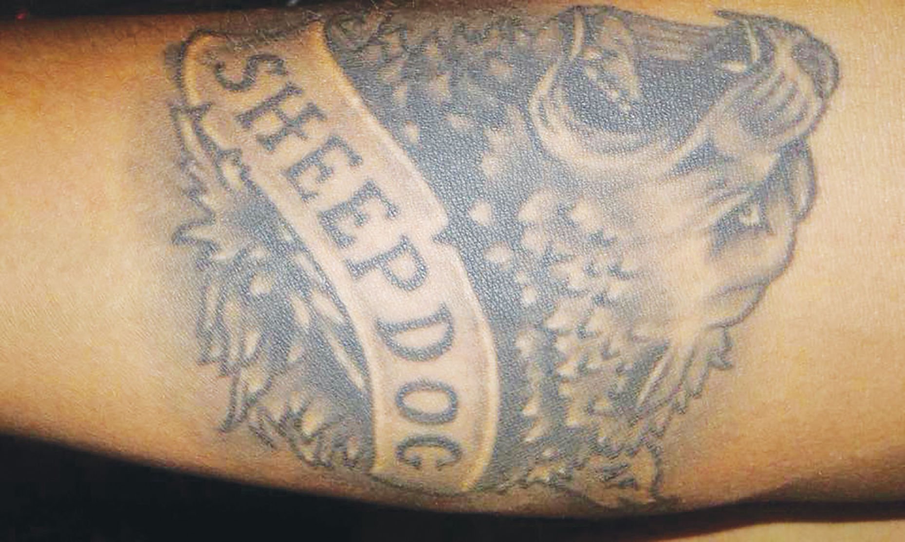 8 Best sheepdog tattoo ideas  wolf tattoos sleeve tattoos cool tattoos