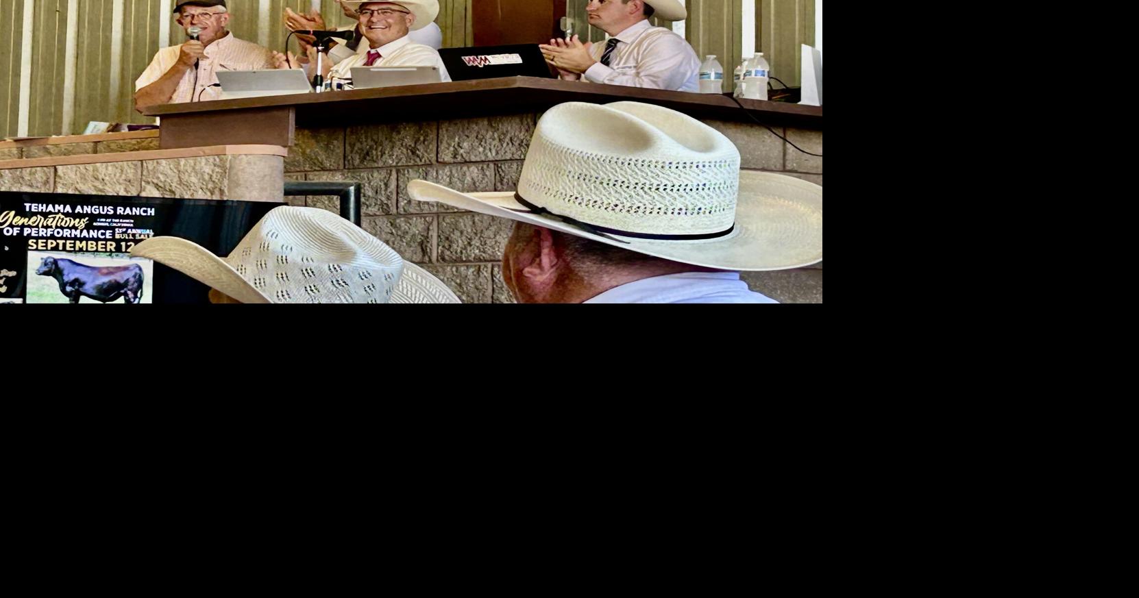 Tehama bull sale celebrates generations of ranching | News | appeal ...