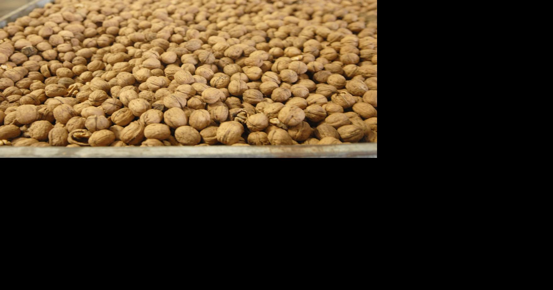 Yuba Co. releases 2022 crop report Agriculture productions saw 9