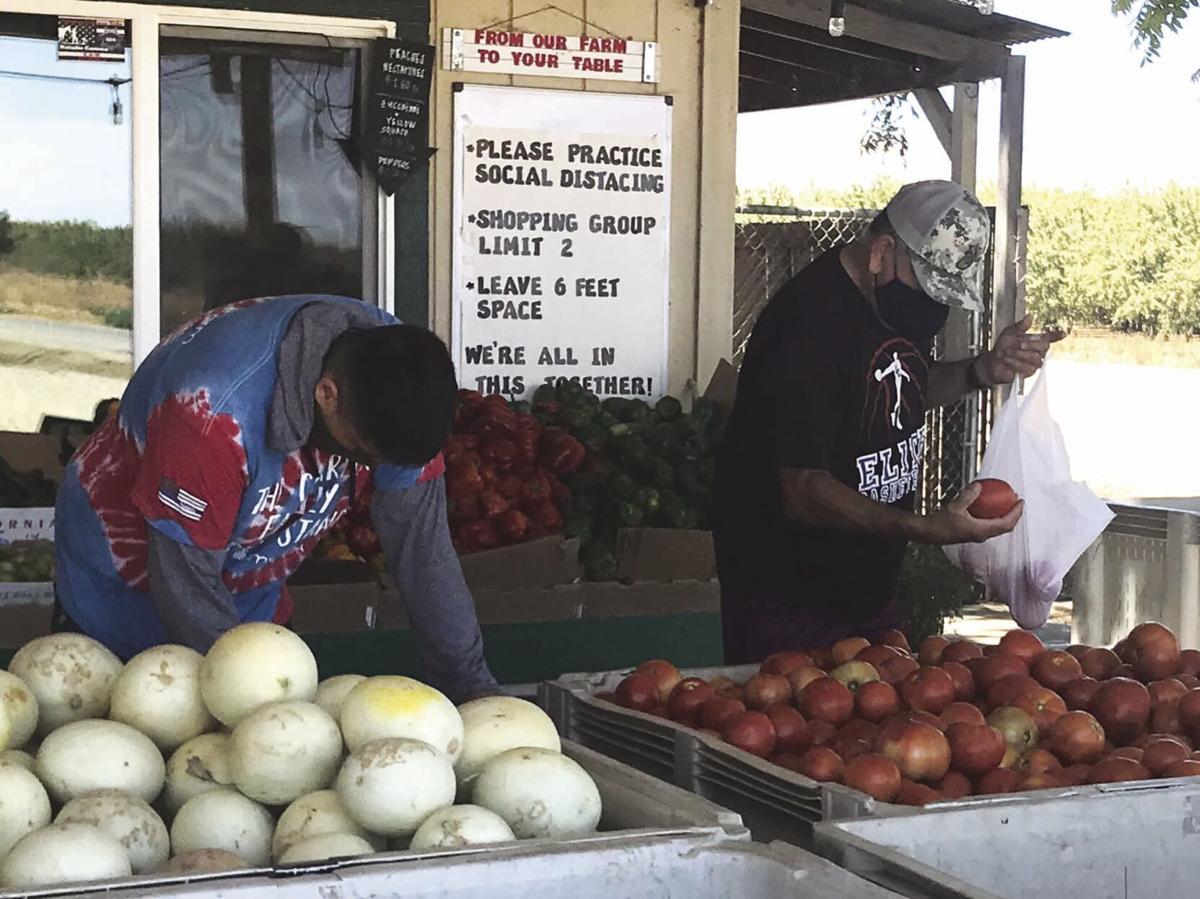 Business Booming At Williams Fruit Stand Colusa Sun Herald Appeal Democrat Com